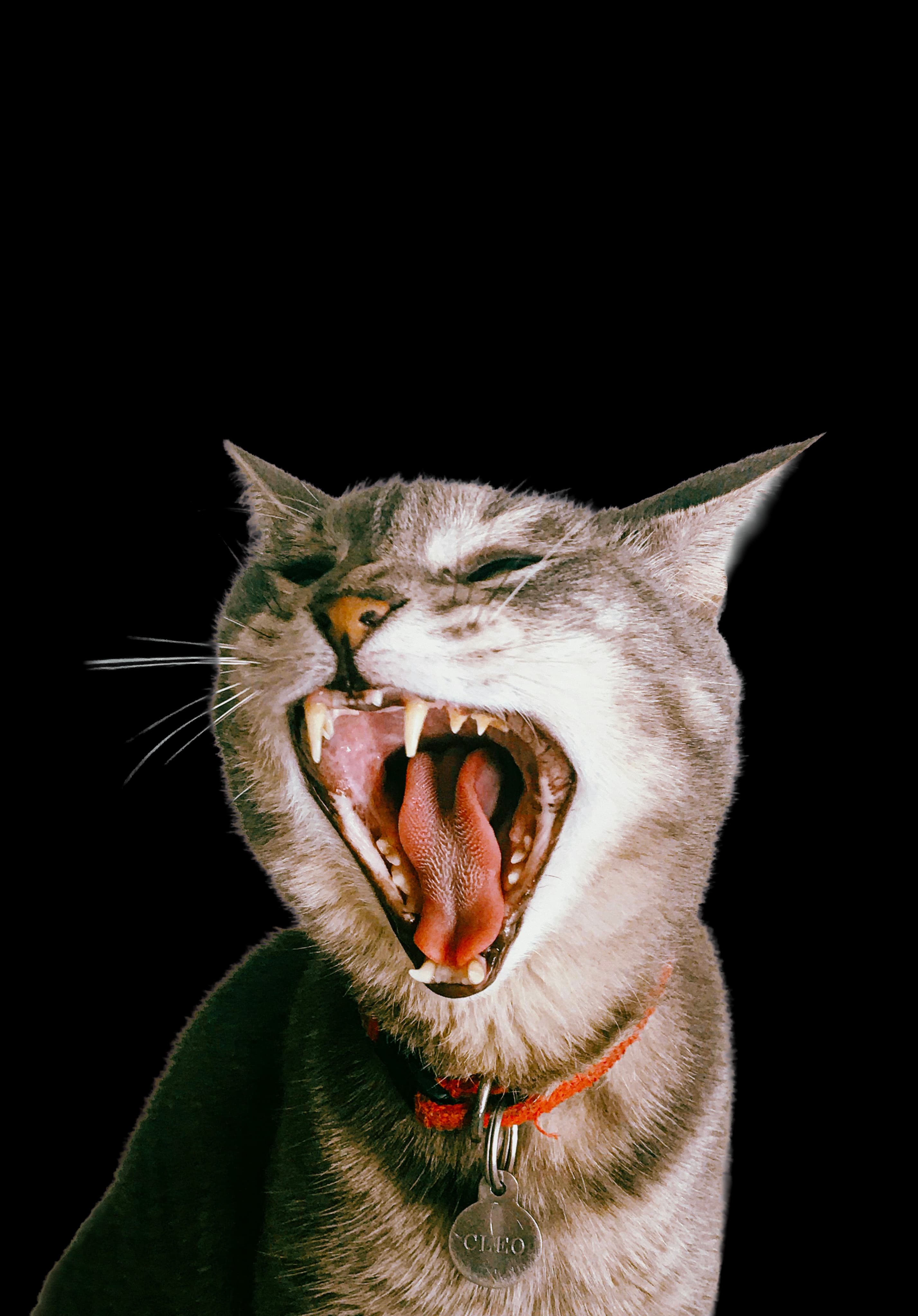 LEZIONI