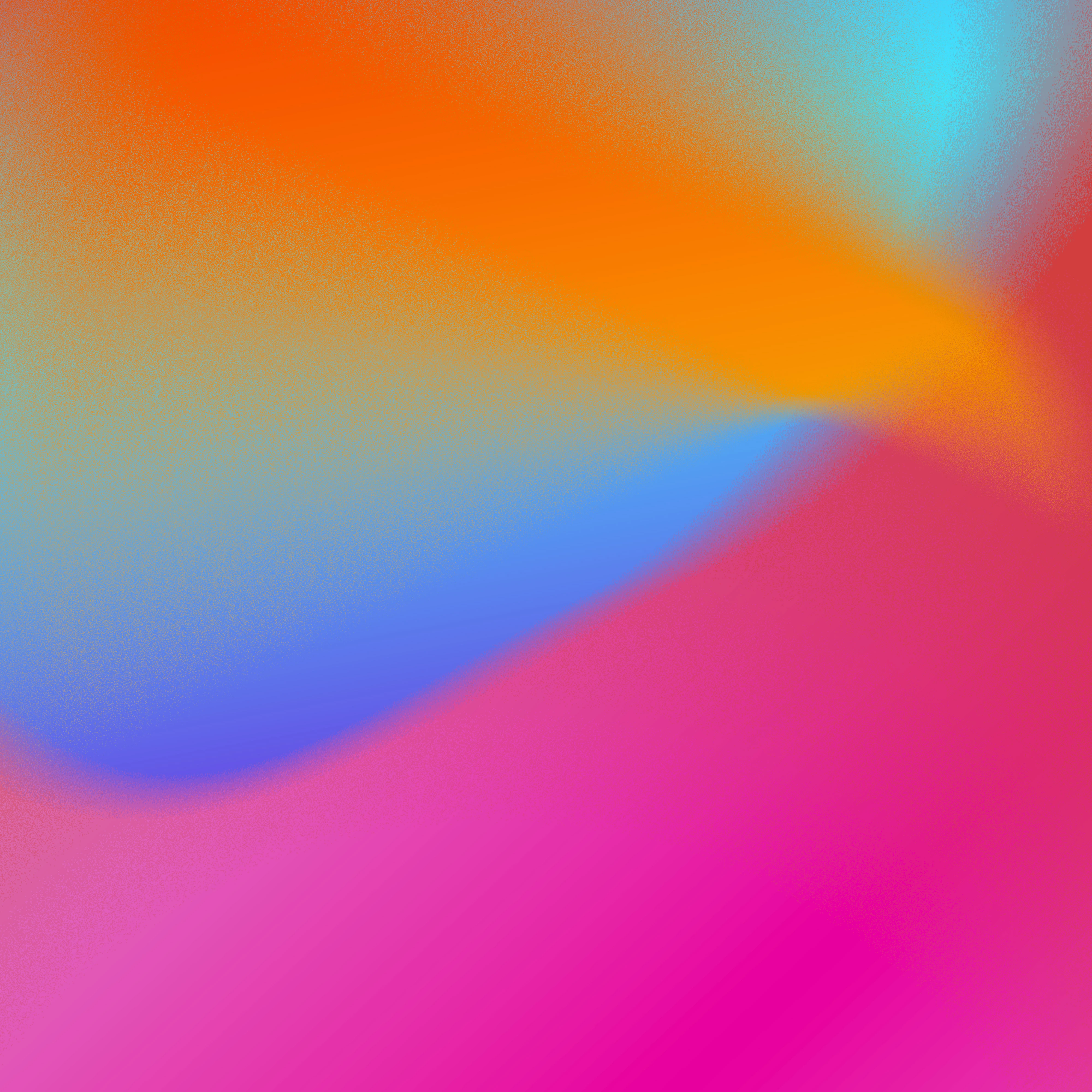 FORMAZIONE & MENTORSHIP